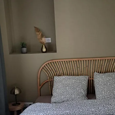 Le Balinais , En Hyper Centre Rue Au Calme Avec Parking Apartman