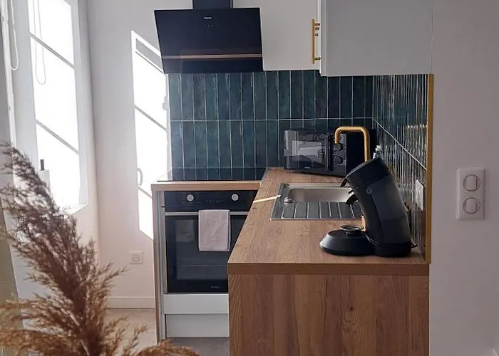 Apartmán Le Balinais , En Hyper Centre Rue Au Calme Avec Parking *