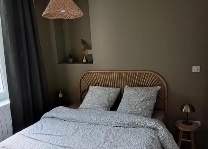 Le Balinais , En Hyper Centre Rue Au Calme Avec Parking Apartmán *