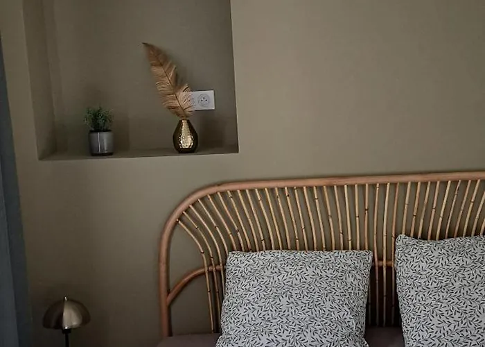 Le Balinais , En Hyper Centre Rue Au Calme Avec Parking Apartmán